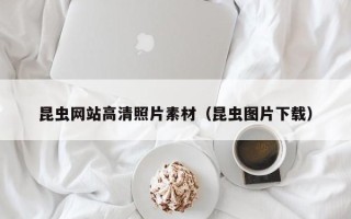 三沙昆虫网站高清照片素材（昆虫图片下载）